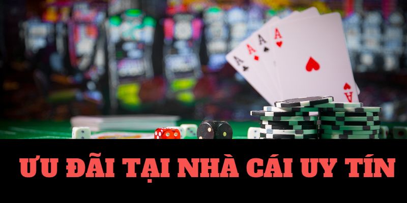 15 Bí Quyết Star Ox Hiệu Quả